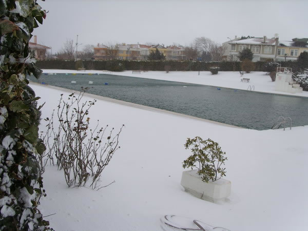 Frozen swimming pool 1